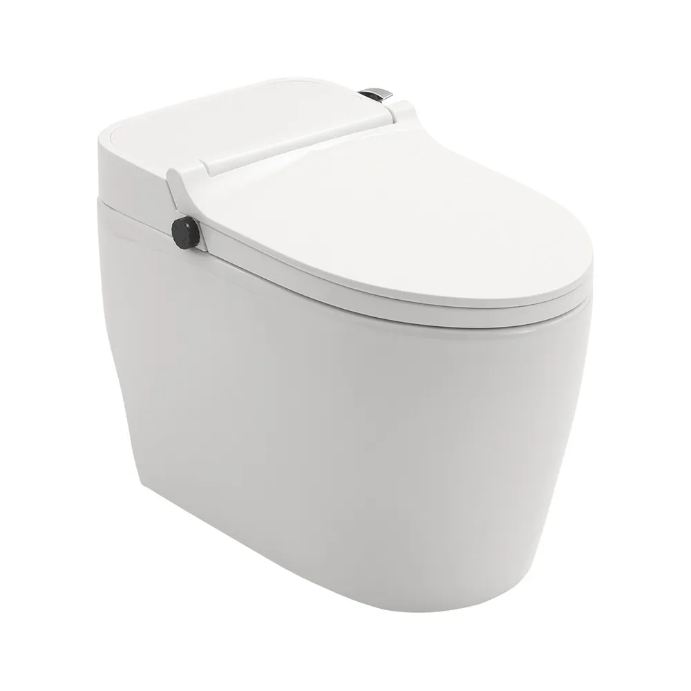 2 - Vaso Sanitário com Descarga Inteligente