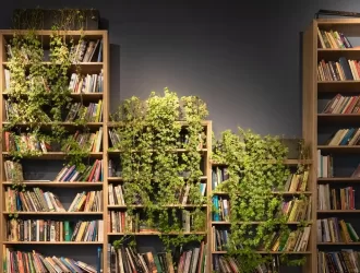 Top 6 Melhores Estantes para Livros