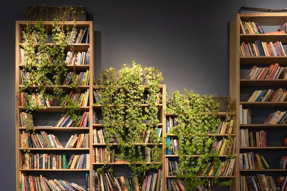 Top 6 Melhores Estantes para Livros