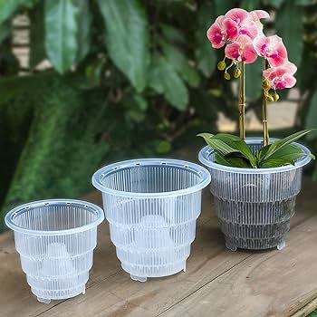 7 - Vaso Transparente com Fenda -Riastvy   