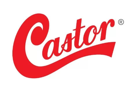 2 - Castor