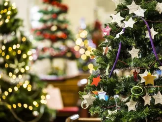 Top 8 Melhores Árvores de Natal