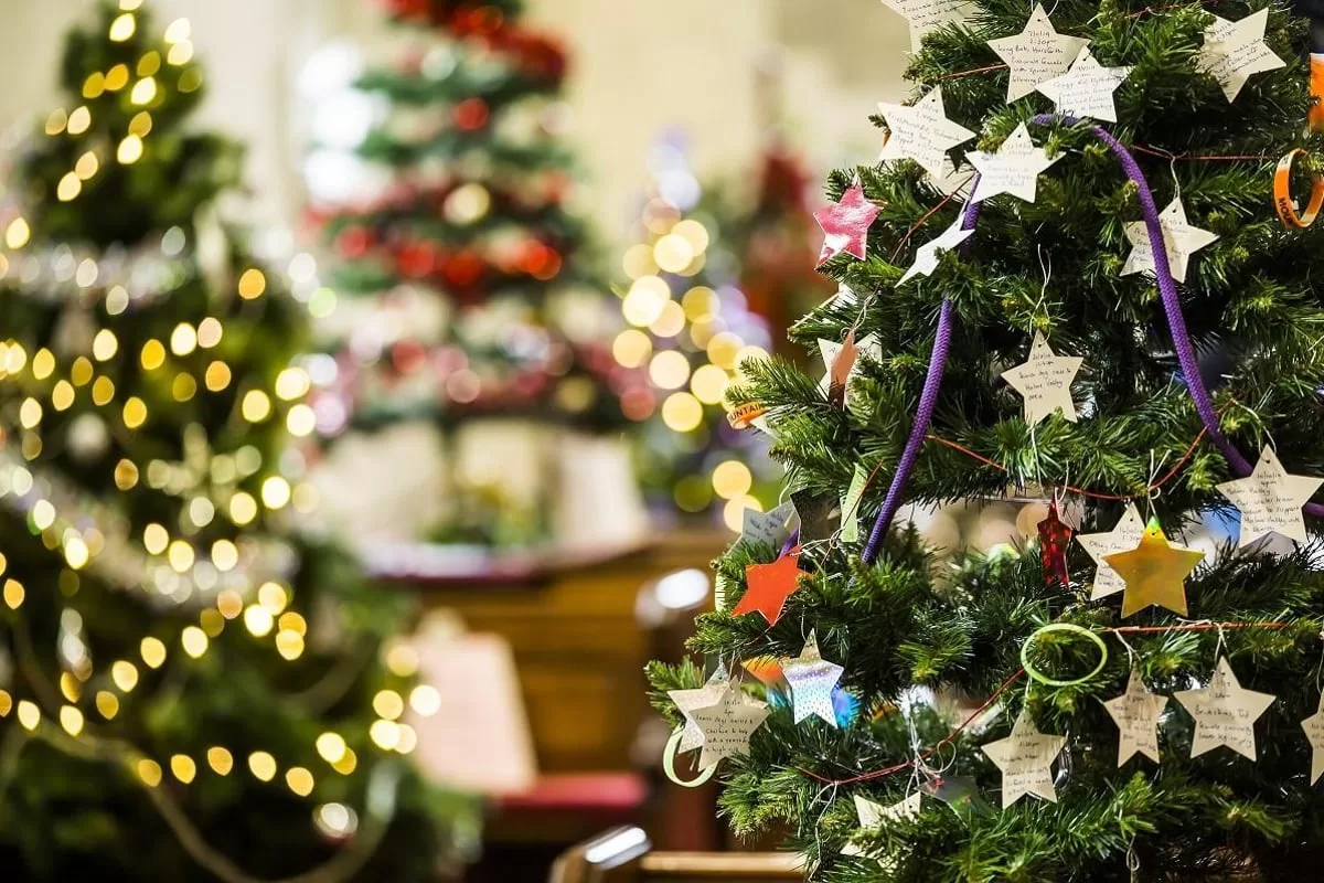 Top 8 Melhores Árvores de Natal