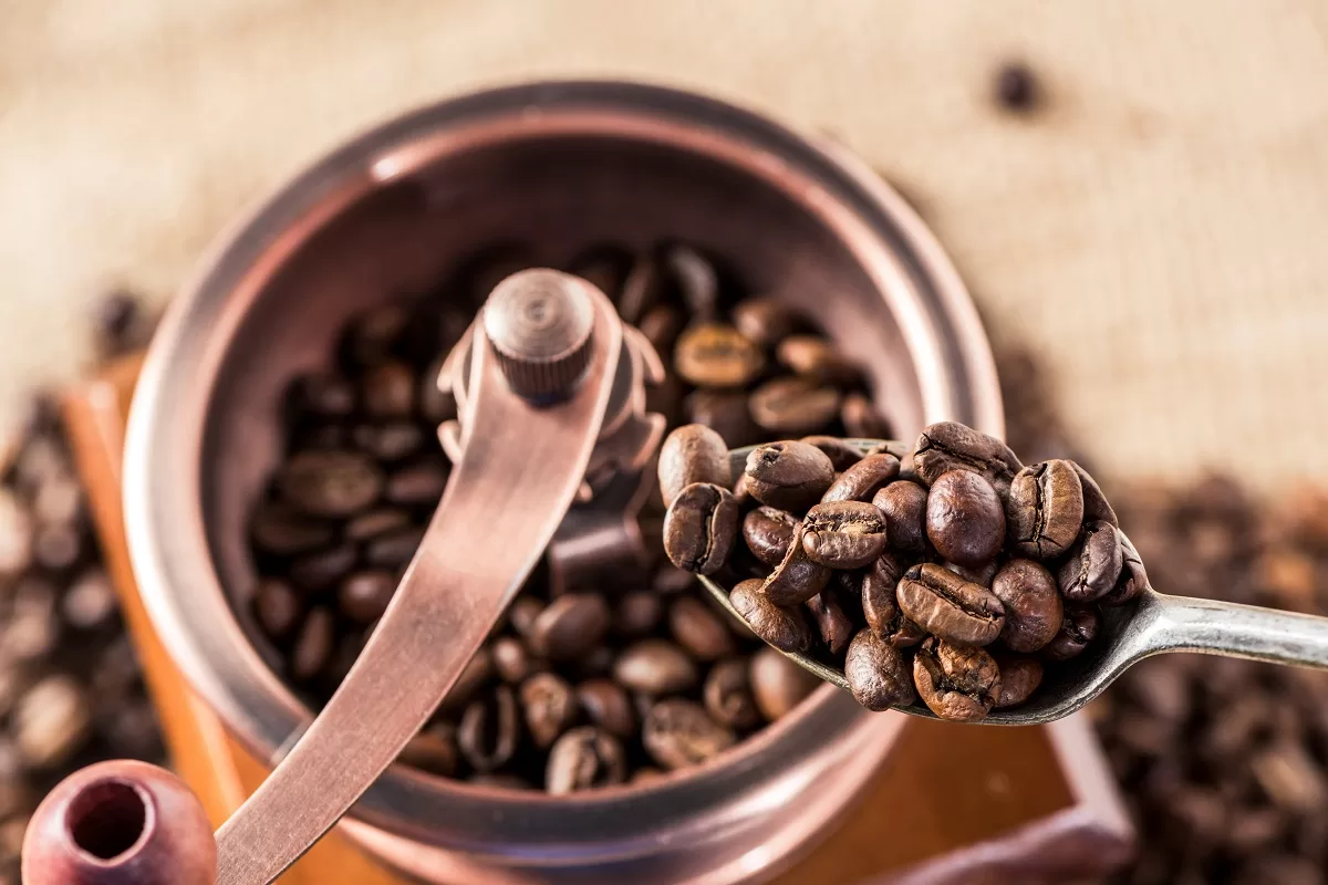 Top 6 Melhores Moedores de Café