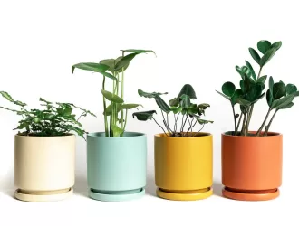 Top 9 Melhores Vasos de Flores