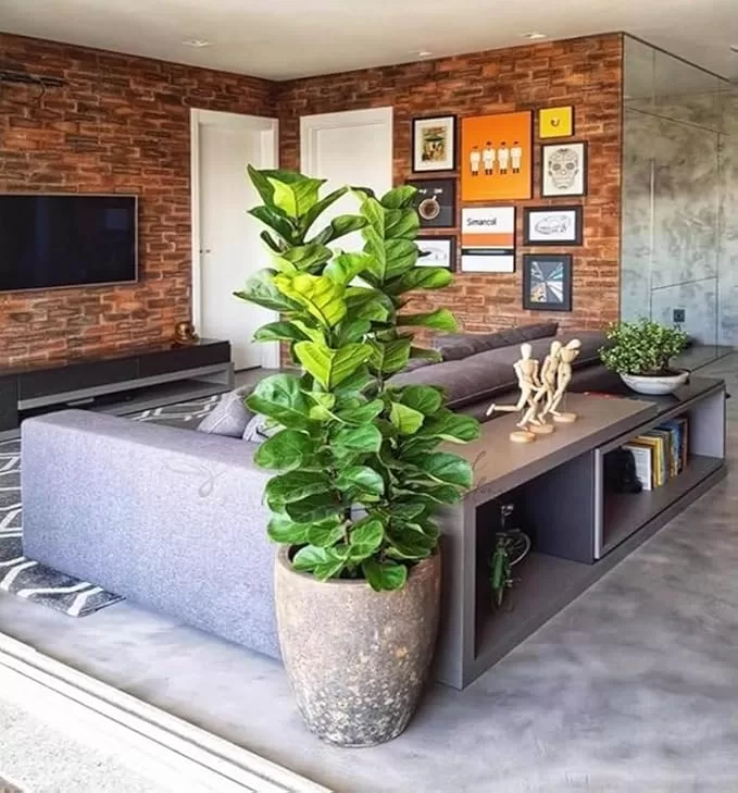 8 - Planta Artificial Ficus Lyrata - Glosbe Decoração