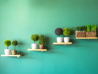 Top 8 Melhores Plantas Artificiais 
